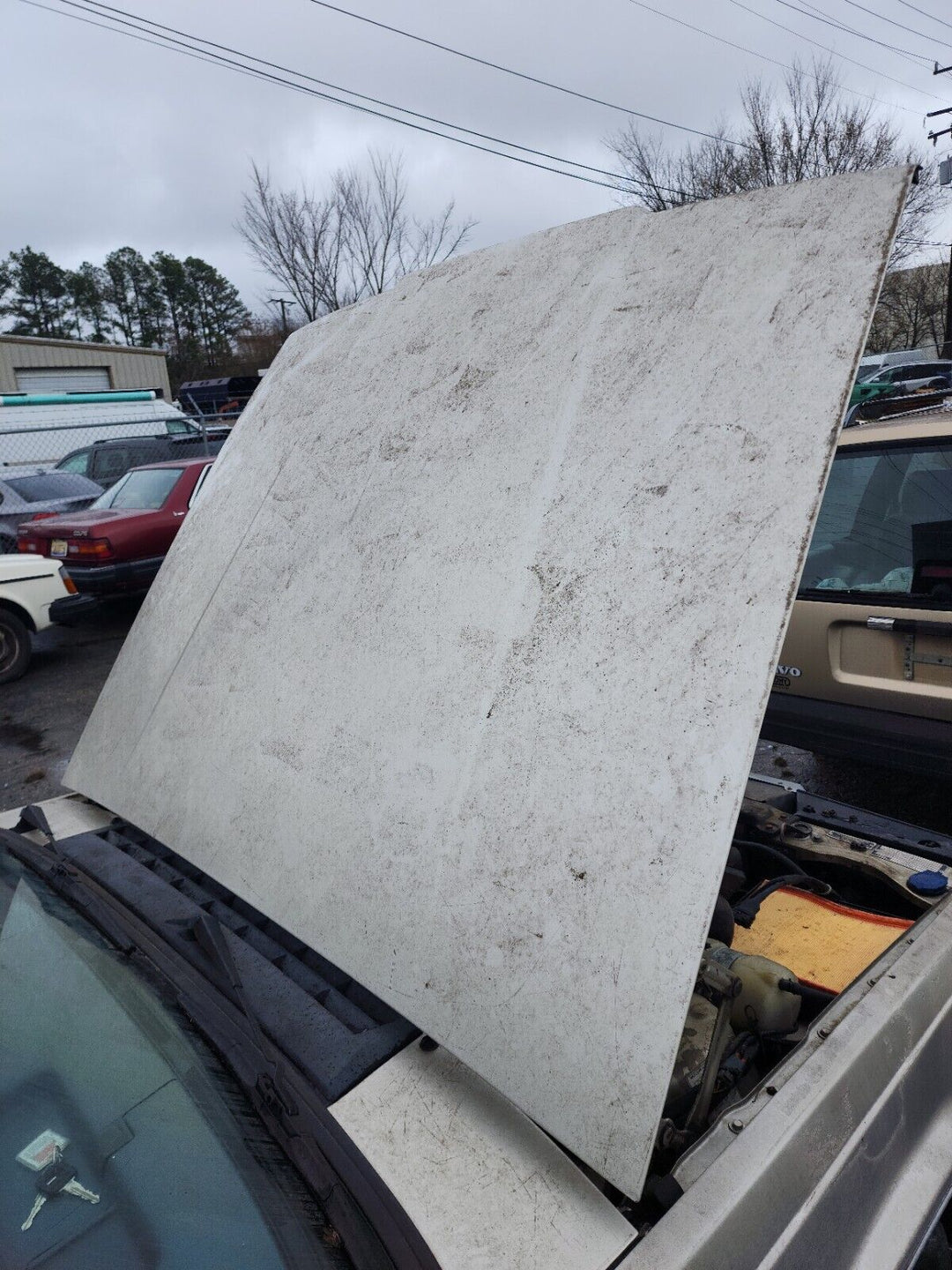 Volvo 780 Bertone Hood RARE Color Moondust