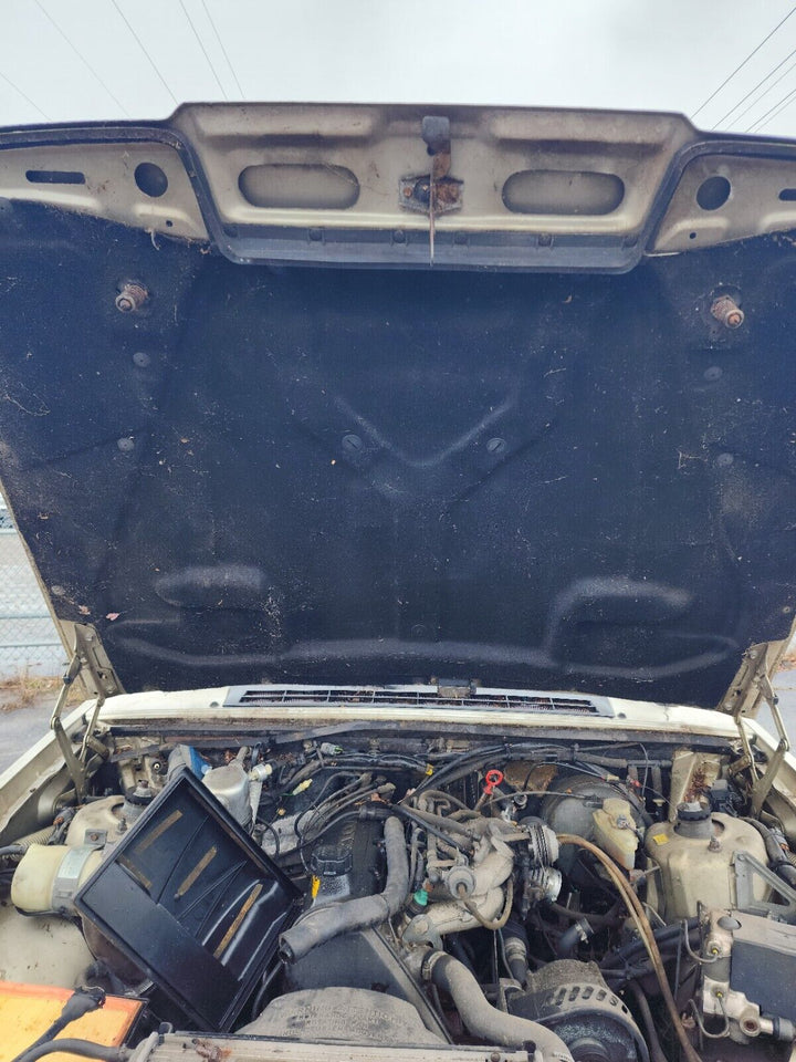 Volvo 780 Bertone Hood RARE Color Moondust